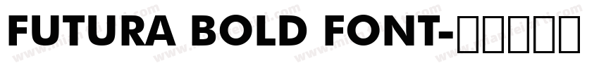 FUTURA BOLD FONT字体转换